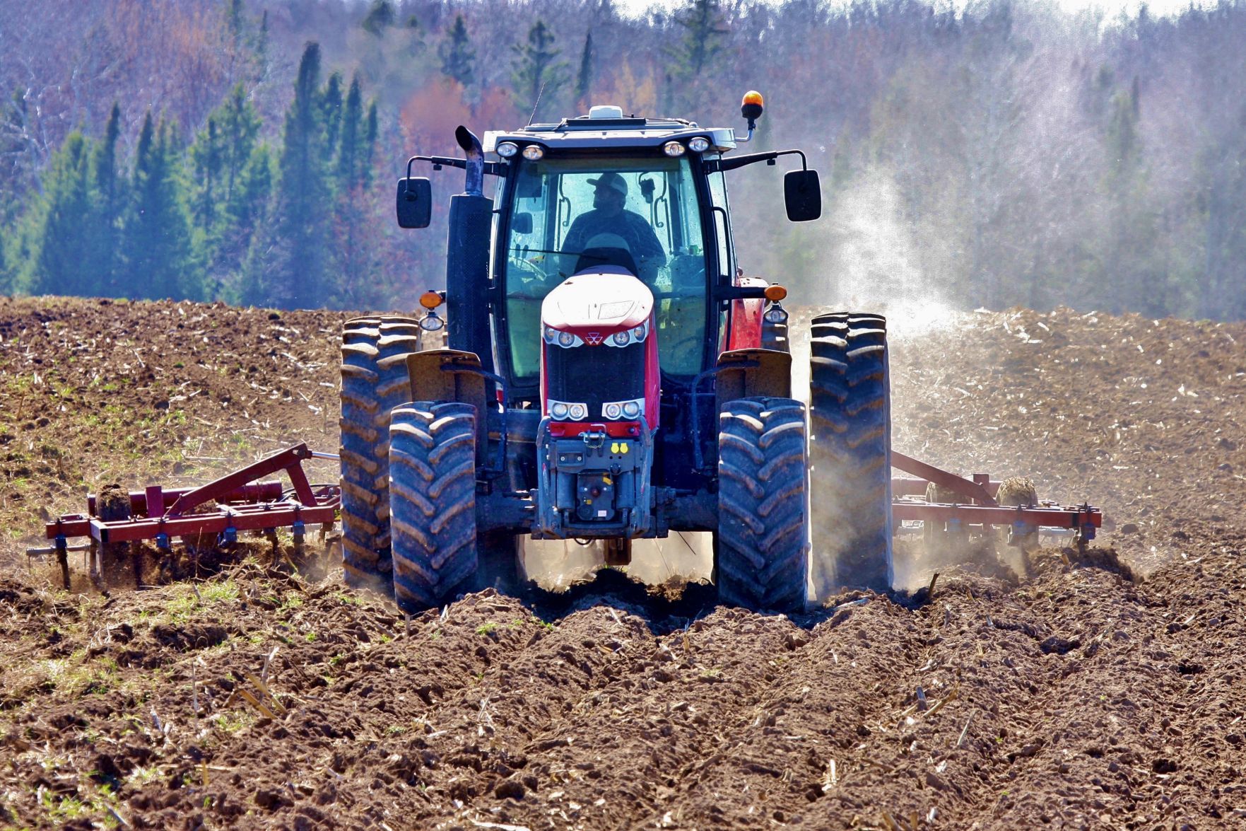Sam Zimmerman of Ringle, Wisconsin, does field cultivating with tractor